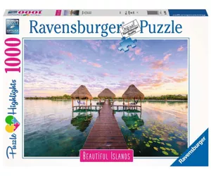 Ravensburger 16908 puzle 1000 pcs