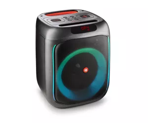 NGS WILD SWAG Черный 80 W