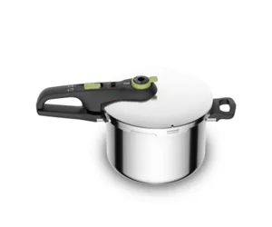 Tefal P2580703 viryklei skirtas greitpuodis 6 L Nerūdijančiojo plieno