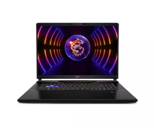 MSI Gaming RAIDER GE78HX SMARTTP 13VG-090DE laptop 43.2 cm (17") Quad HD+ Intel® Core™ i9 i9-13980HX 32 GB DDR5-SDRAM 2 TB SSD NVIDIA GeForce RTX 4070 Wi-Fi 6E (802.11ax) Windows 11 Home Black