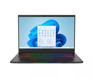 ERAZER Beast X30 Ноутбук 43,9 cm (17.3") Quad HD Intel® Core™ i7 i7-12700H 32 GB DDR5-SDRAM 1 TB Твердотельный накопитель (SSD) NVIDIA GeForce RTX 3070 Ti Wi-Fi 6 (802.11ax) Windows 11 Home Черный