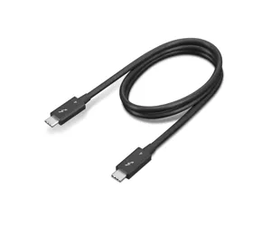 Lenovo 4X91K16968 Thunderbolt cable 0.7 m 40 Gbit/s Black
