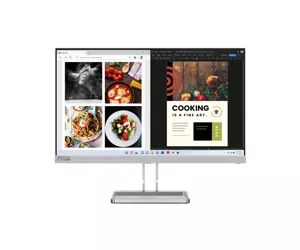 Lenovo L24i-40 LED display 60.5 cm (23.8") 1920 x 1080 pixels Full HD Grey