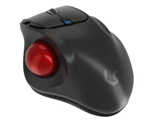 KeySonic KSM-6101RF-EGT компьютерная мышь Для правой руки Беспроводной RF 1000 DPI