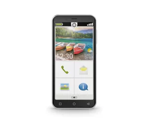 Emporia SMART.5mini 12.6 cm (4.95") Single SIM Android 13 4G USB Type-C 4 GB 64 GB 2500 mAh Black