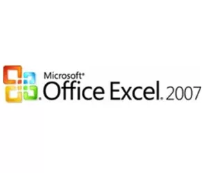 Microsoft Excel, OLP NL, Software Assurance, 1 license, EN