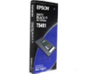 Epson Singlepack Photo Black T549100