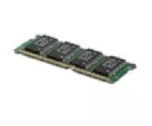 Epson 256MB RAM