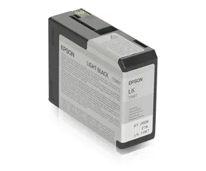 Epson Singlepack Light Black T580700