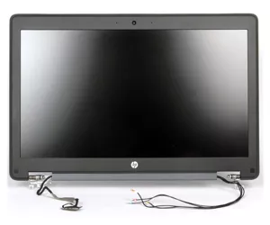HP Display panel assembly