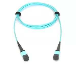 Allied Telesis AT-MTP12-5