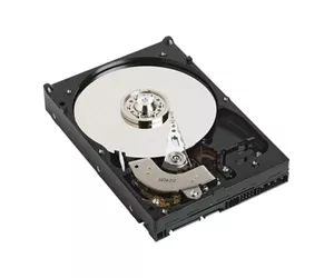 DELL 1TB SATA