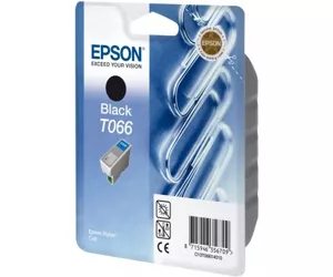 Epson T066