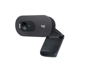 Logitech C505 HD Webcam