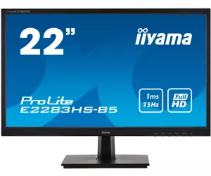 iiyama ProLite E2283HS-B5