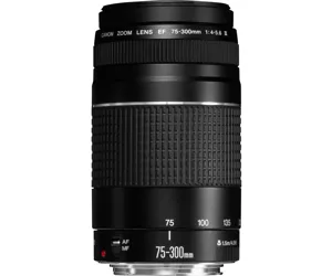 Canon EF 75-300mm f/4-5.6 III Objektiv