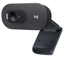Logitech C505 HD internetinė kamera 1280 x 720 pikseliai USB Juoda