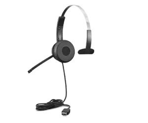 Lenovo 100 Mono