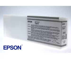 Epson Singlepack Light Black T591700