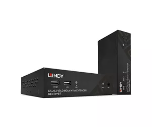 Lindy 39374