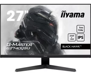 iiyama G-MASTER Black Hawk