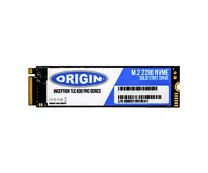 Origin Storage WDS250G2B0B-OS