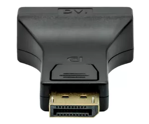 ProXtend DP1.2-DVI245