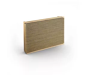 Bang & Olufsen Beosound Level