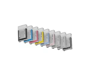 Epson Singlepack Photo Black T602100