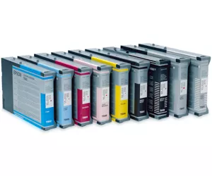 Epson Singlepack Light Cyan T602500