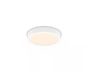 Philips Functional Downlight