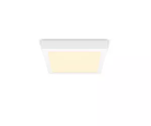 Philips Functional Downlight