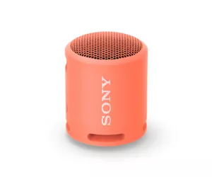 Sony SRSXB13