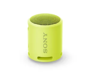 Sony SRSXB13