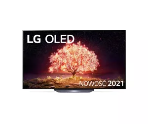 LG OLED65B13LA televizorius 165,1 cm (65") 4K Ultra HD Smart TV „Wi-Fi“ Juoda, Pilka