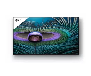 Sony FWD-85Z9J