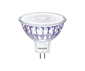 Philips MASTER LED 30738400