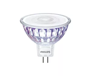 Philips MASTER LED 30742100