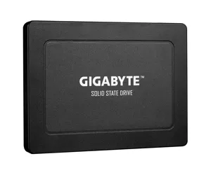 Gigabyte GP-GSTFS31960GNTD-V