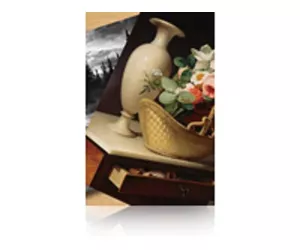 Epson Premium Luster Photo Paper, 60" x 30,5 m, 260g/m²