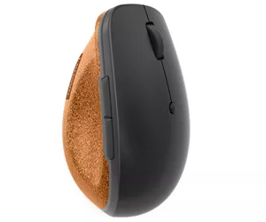 Lenovo Go