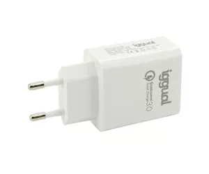 iggual IGG317174