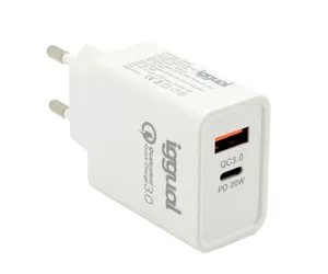 iggual IGG317419
