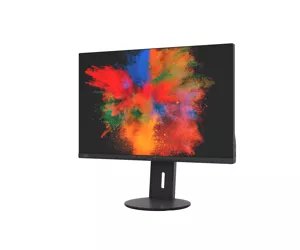 Fujitsu Displays B2410 WS