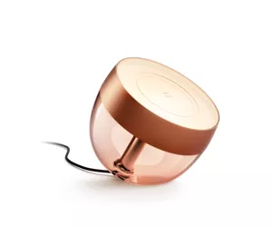 Philips Hue White and colour ambience Vasevärvi Iris, eriseeria