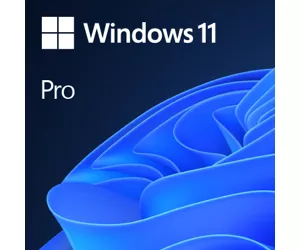 Microsoft Windows 11 Pro OEM