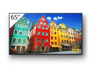 Sony FW-65BZ30J/TM