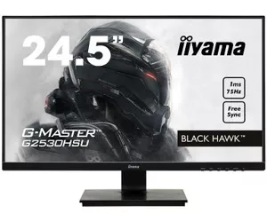 iiyama G-MASTER G2530HSU
