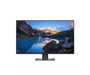 DELL UltraSharp U4320Q 108 cm (42.5") 3840 x 2160 pixels 4K Ultra HD LCD Black